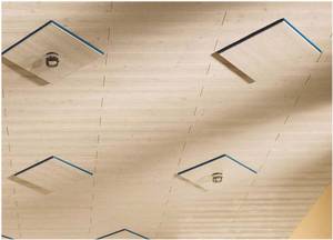 Shortcolor, Free-Style