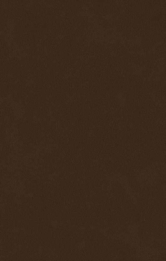 Stoff DUST 08 brown Schösswender Essplätze / Massivline / AMBI-E