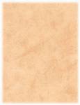 Stoff Printus TS-4283
